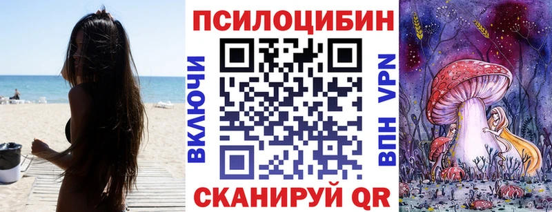 наркошоп  Елизаветинская  Псилоцибиновые грибы ЛСД 